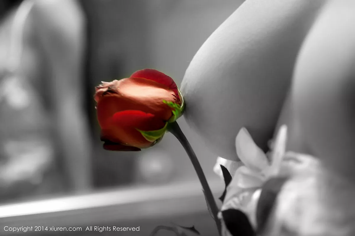 秀人集.com_[XiuRen秀人网]No.104_E罩杯嫩模杨依玫瑰花瓣遮体全裸人体艺术诱惑写真60P