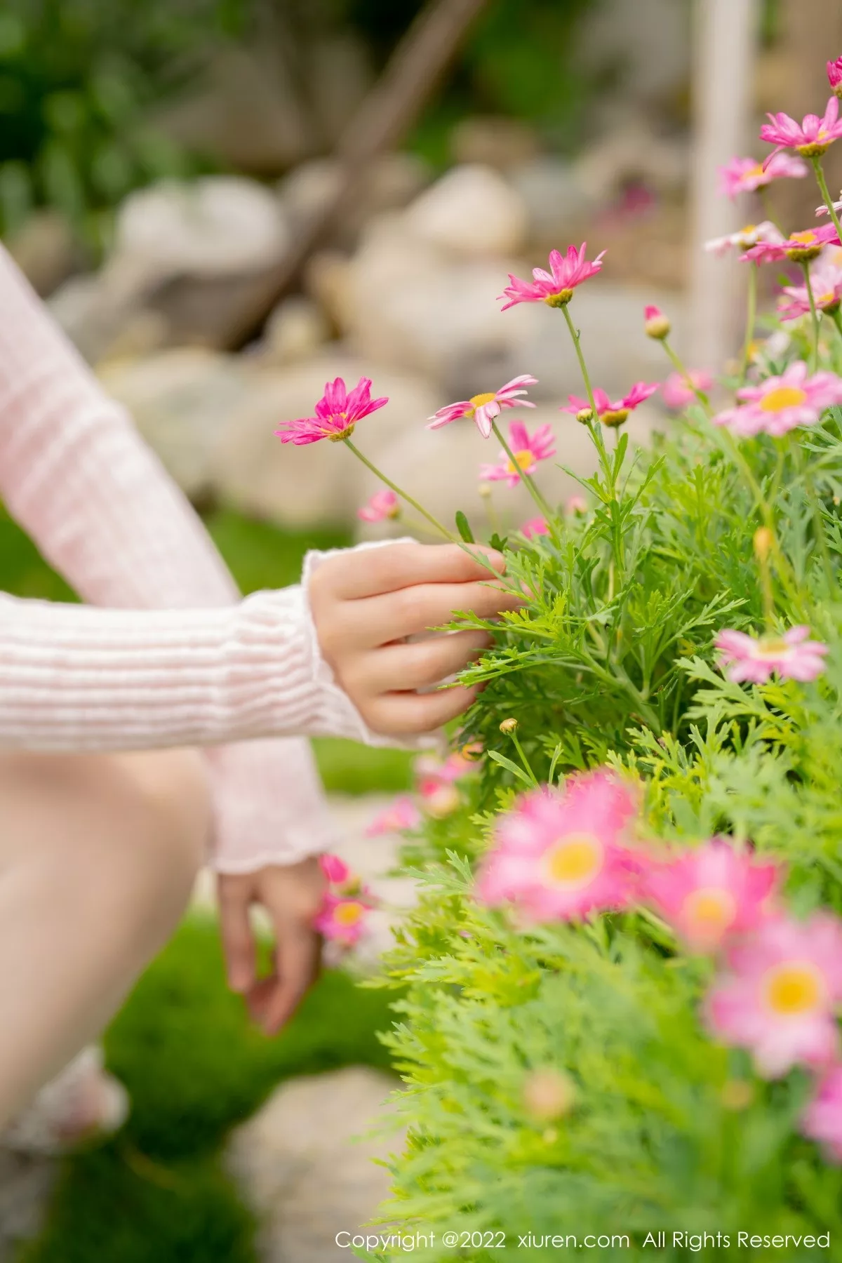 秀人集.com_[XiuRen秀人网]No.5295_女神朱可儿Flora大理旅拍粉色上衣配超薄无内肉丝撩人诱惑写真71P