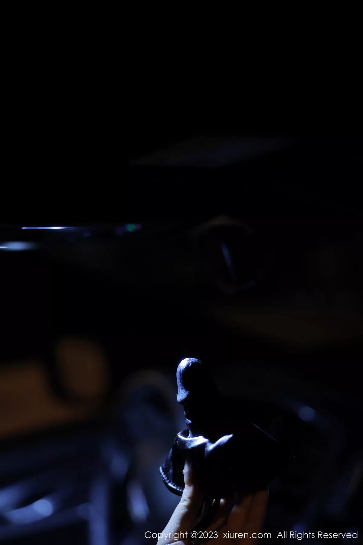 秀人集.com_[XiuRen秀人网]No.6650_模特江真真性感黑色薄透情趣内衣配黑丝吊袜秀惹火身材诱惑写真88P