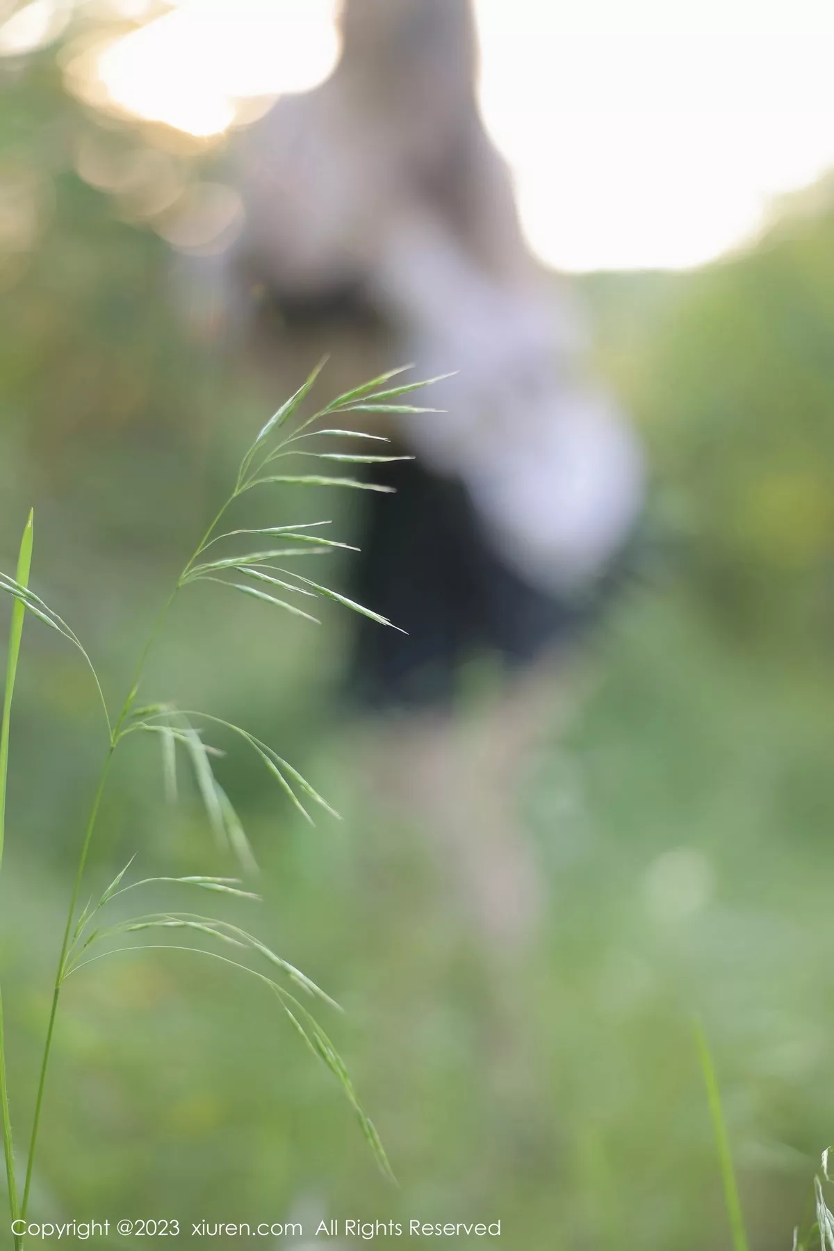 秀人集.com_[XiuRen秀人网]No.6721_模特江真真淡粉色T恤配黑短裙露性感黑色轻透内衣完美诱惑写真80P