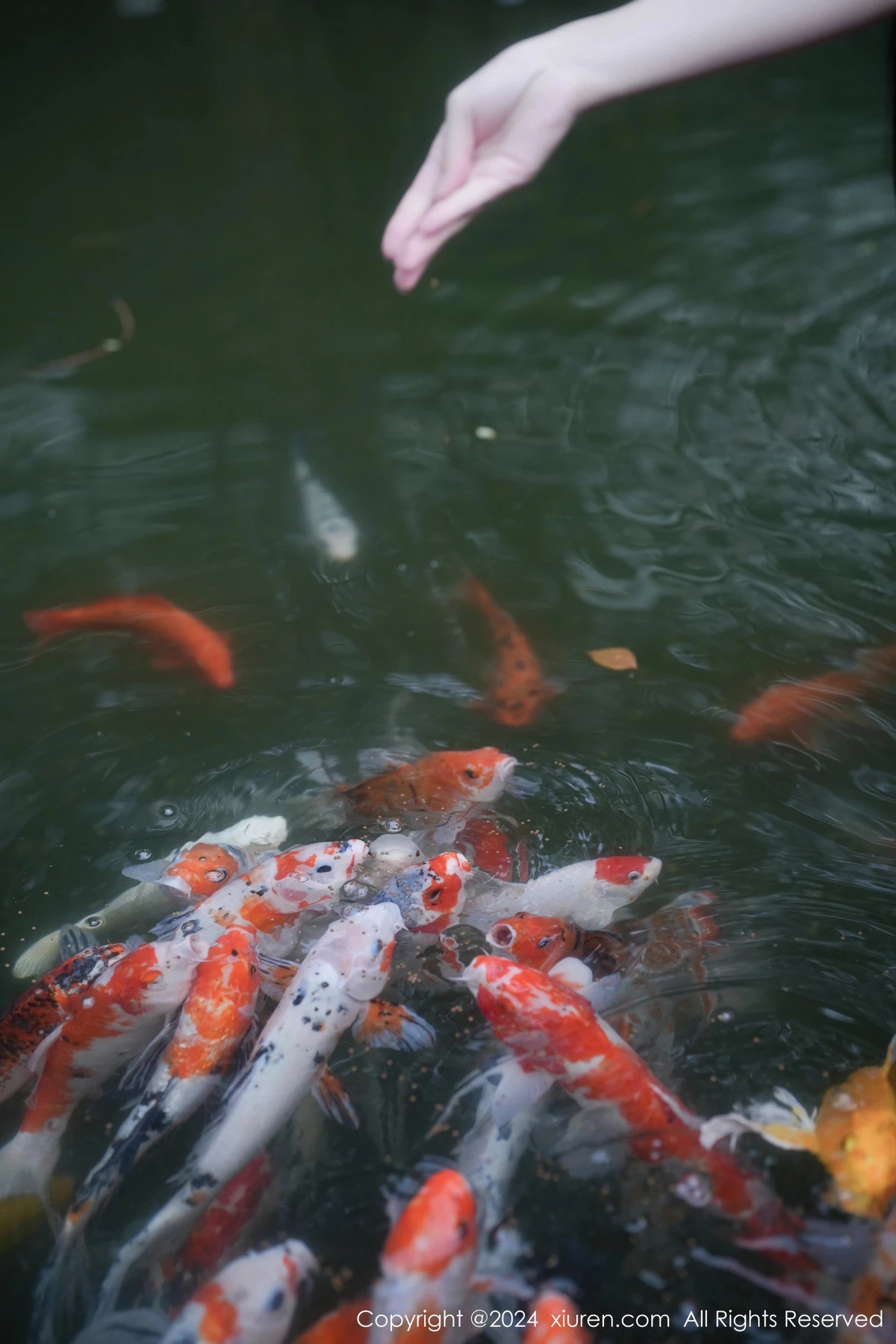 秀人集.com_[XiuRen秀人网]No.7996_新人模特伊雪儿户外性感深色花纹比基尼秀完美身材靓丽迷人写真58P