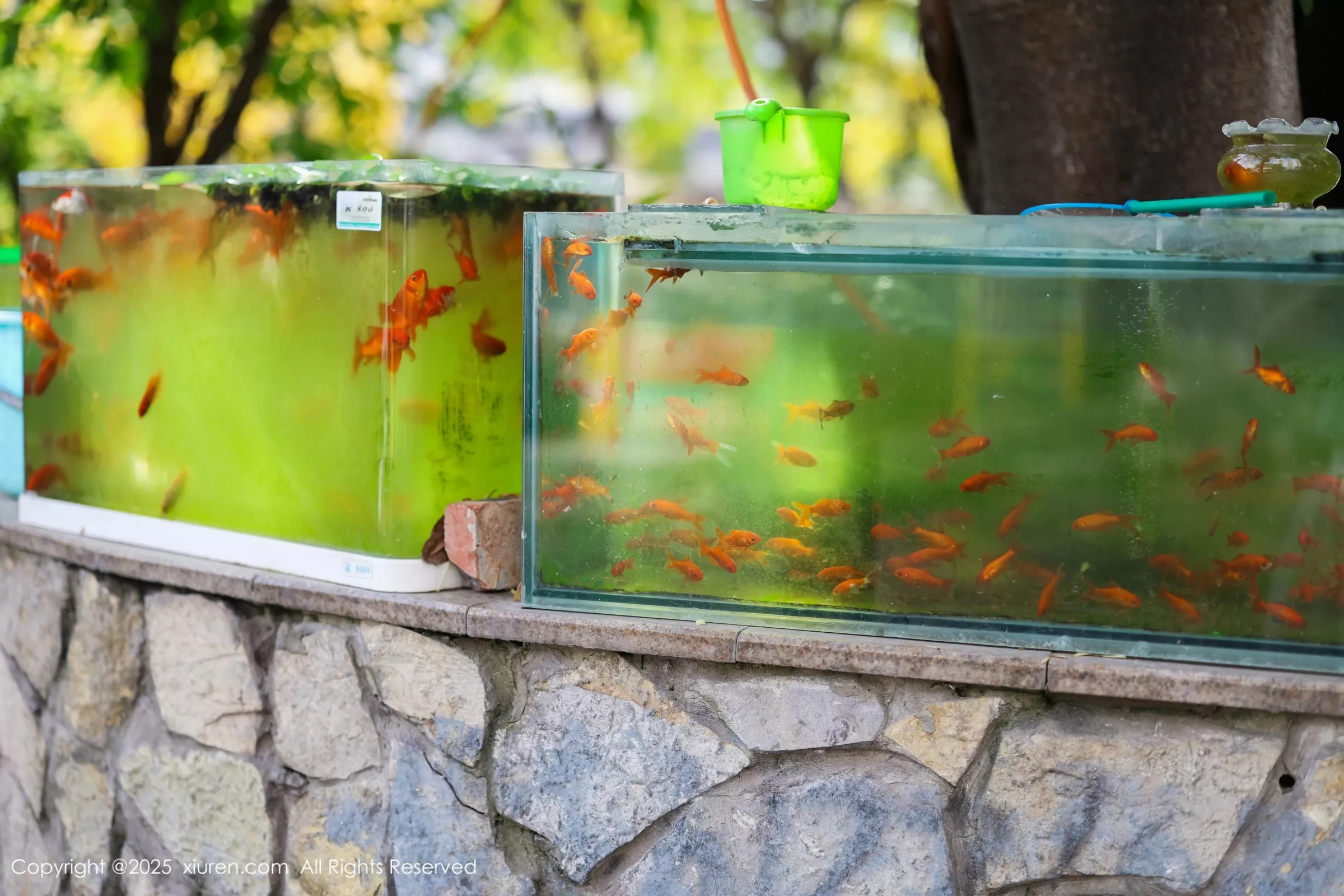 秀人集.com_[XiuRen秀人网]No.10247_模特茂木希子性感橙T露白色内衣配超薄肉丝秀完美身材诱惑写真80P